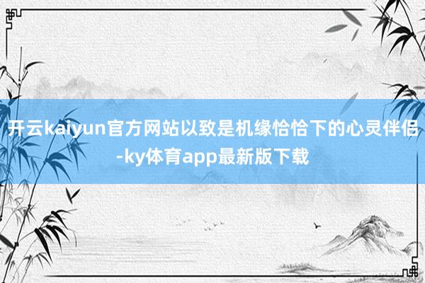 开云kaiyun官方网站以致是机缘恰恰下的心灵伴侣-ky体育app最新版下载