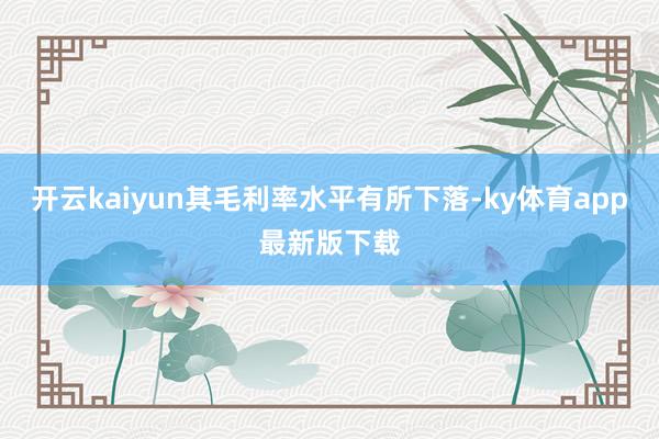 开云kaiyun其毛利率水平有所下落-ky体育app最新版下载
