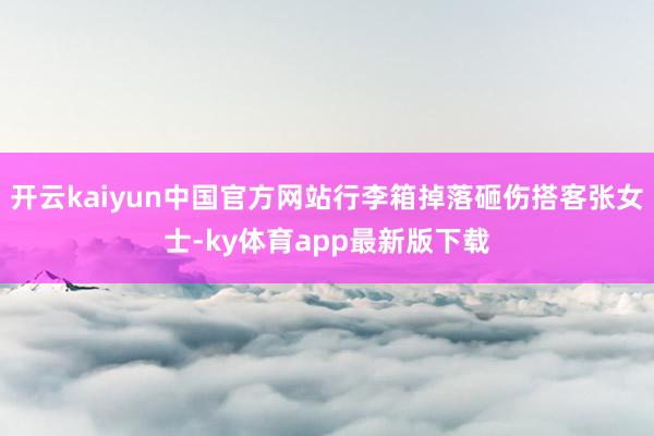 开云kaiyun中国官方网站行李箱掉落砸伤搭客张女士-ky体育app最新版下载