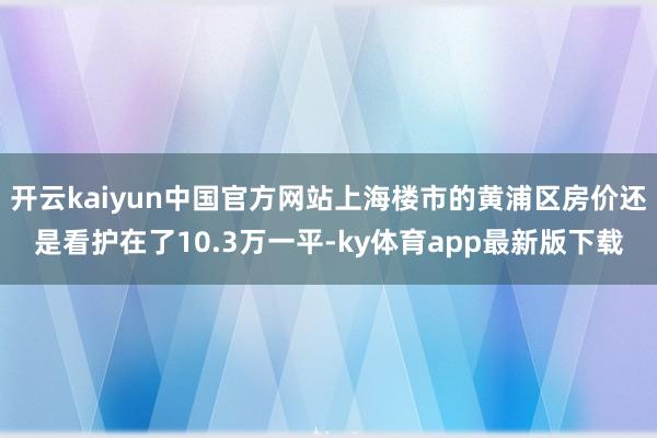 开云kaiyun中国官方网站上海楼市的黄浦区房价还是看护在了10.3万一平-ky体育app最新版下载