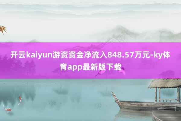 开云kaiyun游资资金净流入848.57万元-ky体育app最新版下载
